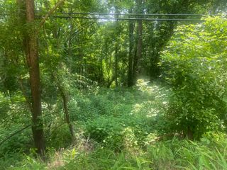 0 Turkey Creek Hwy, Carthage, TN 37030