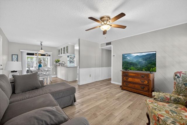 1605 AMBERLEA DRIVE N, Dunedin, FL 34698