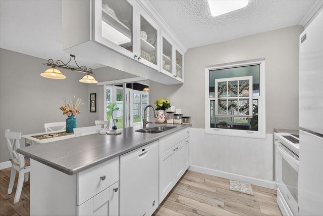 1605 AMBERLEA DRIVE N, Dunedin, FL 34698