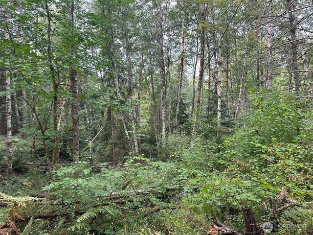 0 TR 2&3 E Agate Road, Shelton, WA 98584