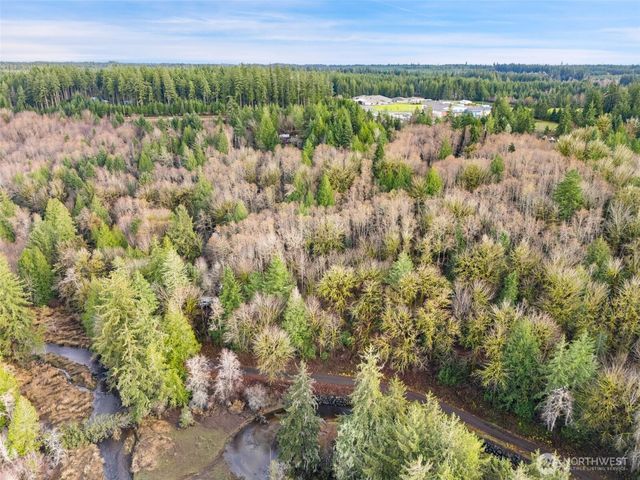 0 TR 2&3 E Agate Road, Shelton, WA 98584