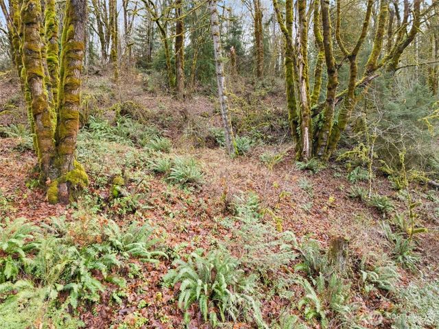 0 TR 2&3 E Agate Road, Shelton, WA 98584