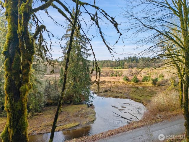 0 TR 2&3 E Agate Road, Shelton, WA 98584