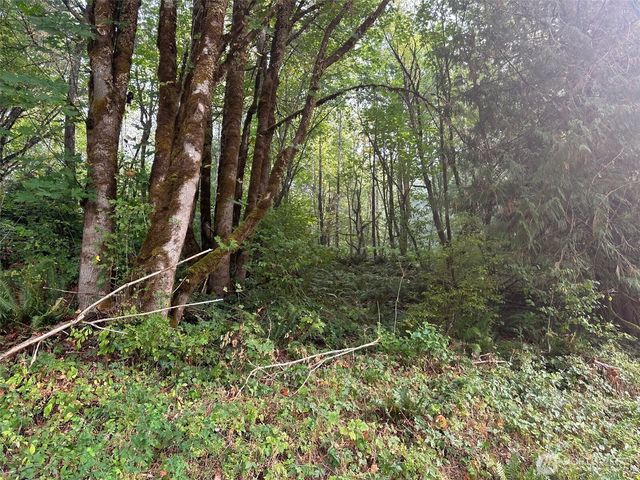 0 TR 2&3 E Agate Road, Shelton, WA 98584