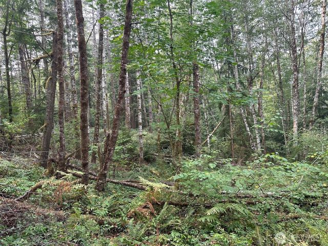 0 TR 2&3 E Agate Road, Shelton, WA 98584