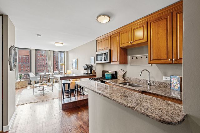 1 E Scott Street 1601, Chicago, IL 60610