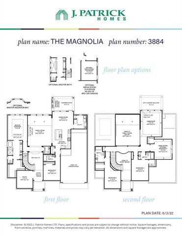 308 Magnolia Bloom Court, Willis, TX 77318