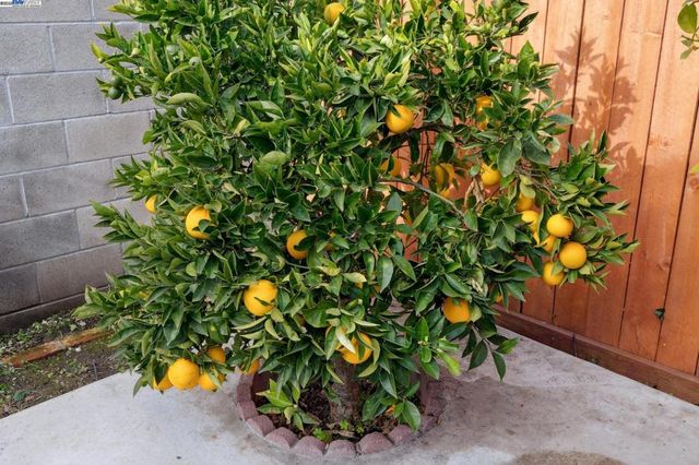 1815 102Nd Ave, Oakland, CA 94603