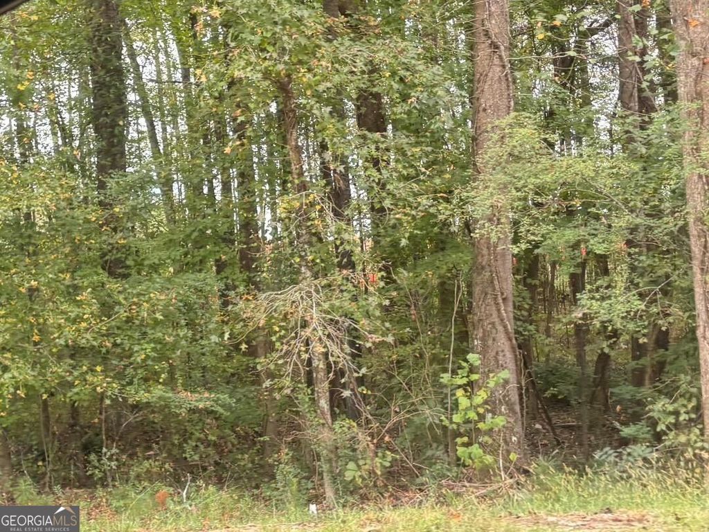 1945 Winder Highway, Dacula, GA 30019 — photo 2