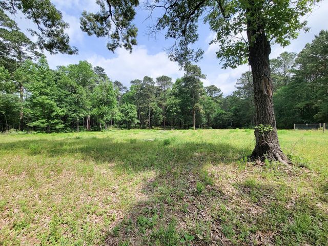 20284 Forest Woods Lane, Montgomery, TX 77356