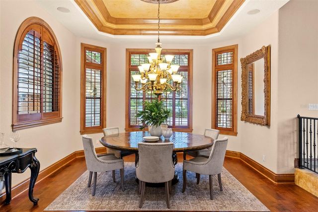 9902 MENANDER WOOD COURT, Odessa, FL 33556