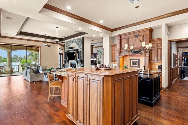 9902 MENANDER WOOD COURT, Odessa, FL 33556