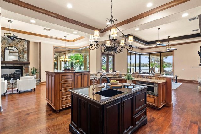 9902 MENANDER WOOD COURT, Odessa, FL 33556