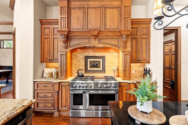 9902 MENANDER WOOD COURT, Odessa, FL 33556