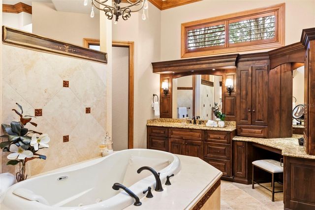 9902 MENANDER WOOD COURT, Odessa, FL 33556