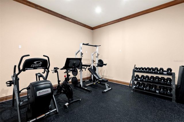 9902 MENANDER WOOD COURT, Odessa, FL 33556