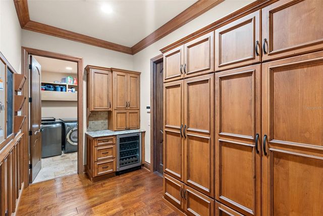 9902 MENANDER WOOD COURT, Odessa, FL 33556