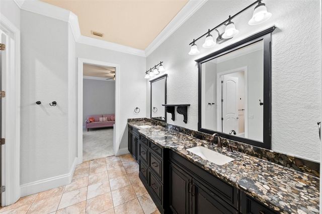 9902 MENANDER WOOD COURT, Odessa, FL 33556