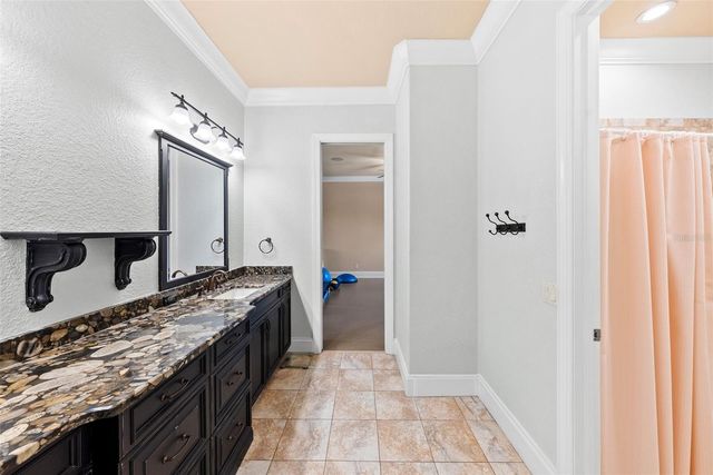 9902 MENANDER WOOD COURT, Odessa, FL 33556