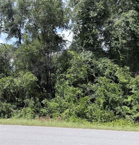 13155 SADDLE WAY, Brooksville, FL 34613