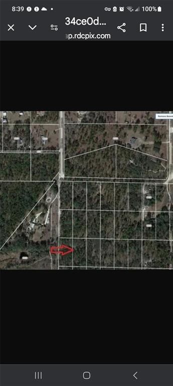SE 120 AVENUE, Morriston, FL 32668