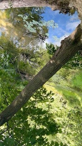 12808 Lincoln Lake Avenue Ne, Spencer Twp, MI 49326