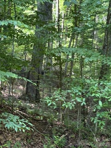 106 Avalon Gap Trail, Waynesville, NC 28785