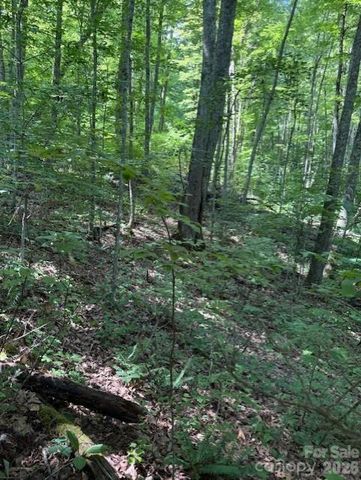 106 Avalon Gap Trail, Waynesville, NC 28785