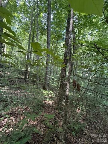 106 Avalon Gap Trail, Waynesville, NC 28785