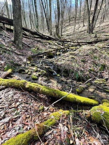 106 Avalon Gap Trail, Waynesville, NC 28785