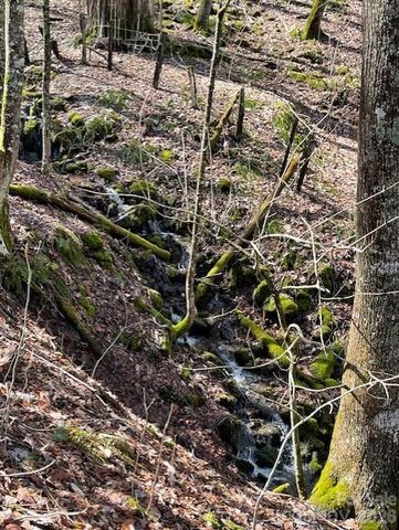 106 Avalon Gap Trail, Waynesville, NC 28785