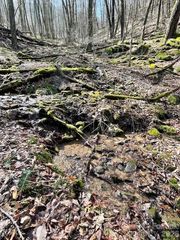 106 Avalon Gap Trail, Waynesville, NC 28785