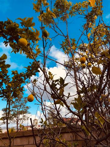 12985 Seabreeze Farms Dr, San Diego, CA 92130