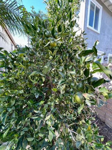 12985 Seabreeze Farms Dr, San Diego, CA 92130