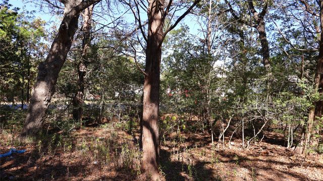 TBD Choctaw TRL, Smithville, TX 78957