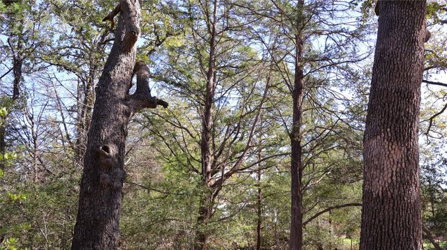 TBD Choctaw TRL, Smithville, TX 78957