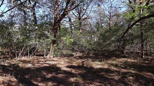 TBD Choctaw TRL, Smithville, TX 78957