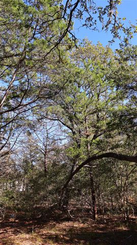 TBD Choctaw TRL, Smithville, TX 78957