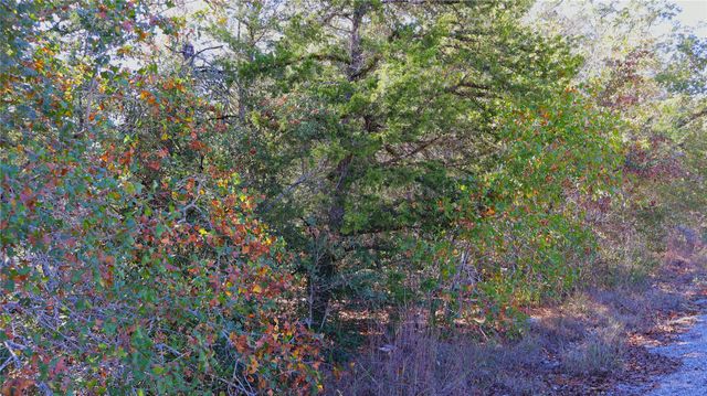 TBD Choctaw TRL, Smithville, TX 78957