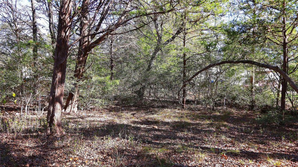 TBD Choctaw TRL, Smithville, TX 78957