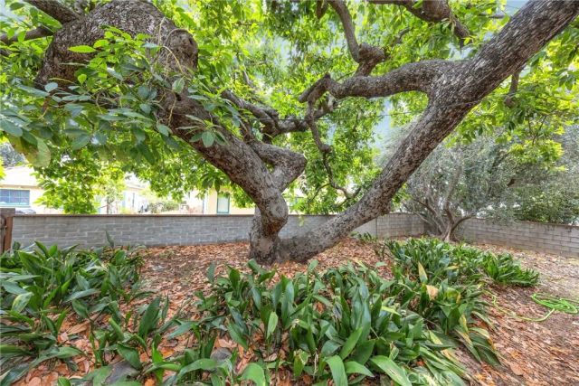 234 N Magnolia, Monrovia, CA 91016