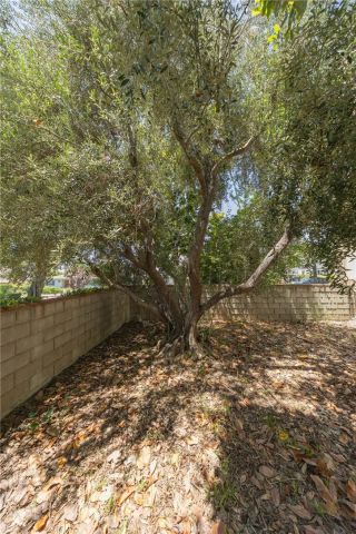 234 N Magnolia, Monrovia, CA 91016