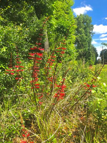 5124 Storage Road, Hollywood, SC 29449