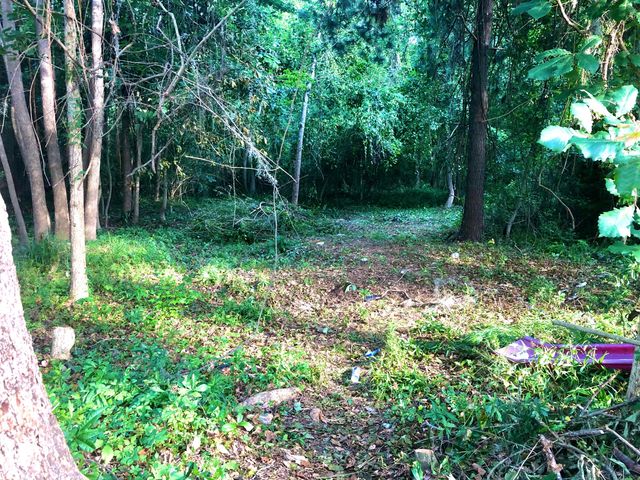 5124 Storage Road, Hollywood, SC 29449