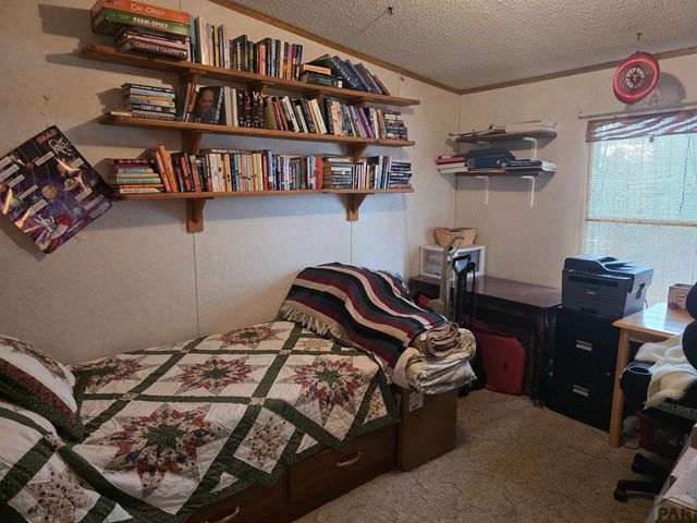 8152 Pine Dr, Rye, CO 81069