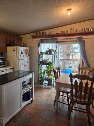 8152 Pine Dr, Rye, CO 81069