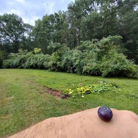 419 Wood Road, Taylors, SC 29687