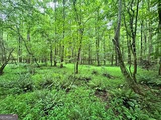 0 Cedar Lane, Danielsville, GA 30633