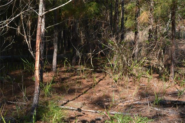 00 US HWY 41, White Springs, FL 32096