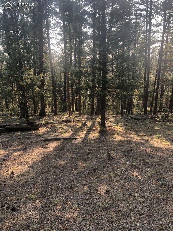 469 Echo Lake Drive, Lake George, CO 80827 — exterior